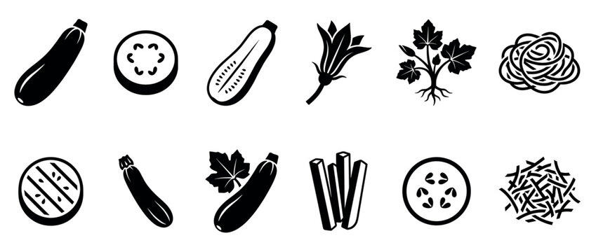 Zucchini vegetable food icons set depicting various forms of the healthy squash including whole, sliced, grilled, plant, flower, and noodles