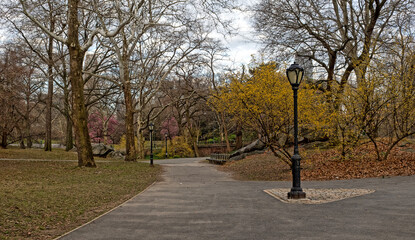 Fototapeta premium Central Park in spring, early morning