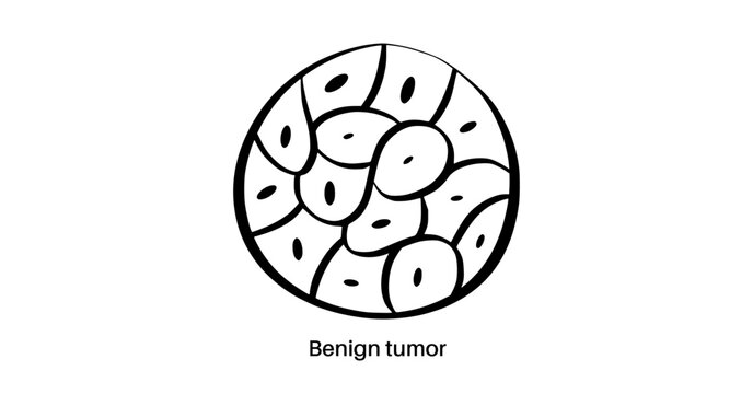 Cells structure sketch