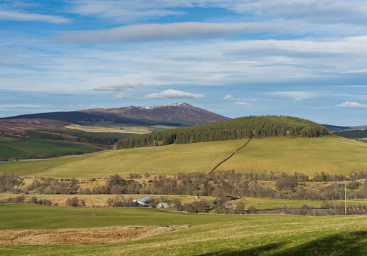 Ben Rinnes mountain peak overlooks green hills and a dense forest near Glenlivet Distillery in Moray, Scotland during Easter Monday