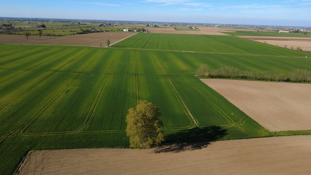 Campi di grano, colza e terre pronte per la semina dei pomodori vicino a dei cascinali, prov. di Alessandria - San Giuliano Nuovo - Piemonte - Italia(dal drone)
