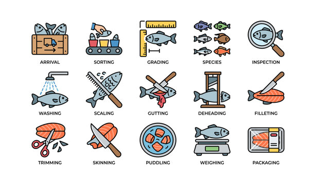 Fish processing stages illustrated with icons and tools for sorting, scaling, cutting, and packaging