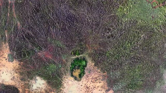 Aerial Wetland View Showing Marsh Pools and Vegetation Patterns