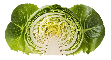 Obraz premium Fresh cabbage half isolated on transparent background a vibrant vegetable close up
