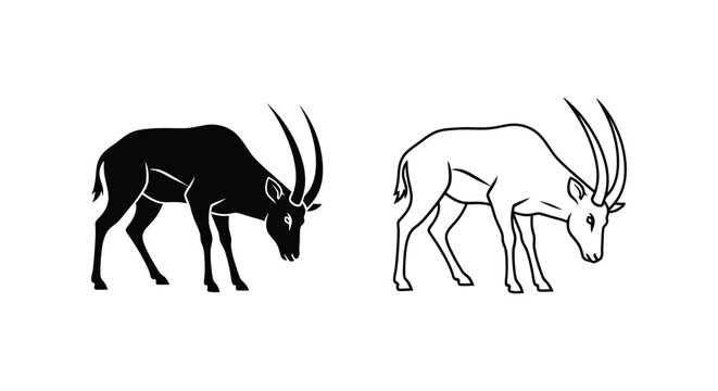 Antelope Species Comparison: Horned Grazers Guide Vector