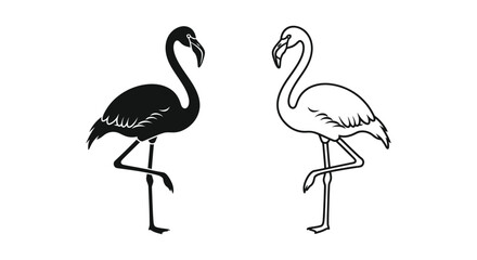 Fototapeta premium Black and White Flamingo Illustrations Vector