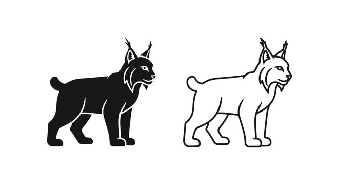 Lynx Animal Silhouette Comparison Guide Vector
