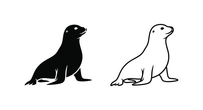 Sea Lion vs Sealion Illustration Guide Vector