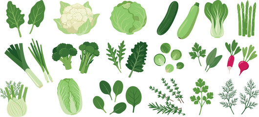 Collection of Iron Rich Green Vegetables and Organic Herbs © Надія Кускова