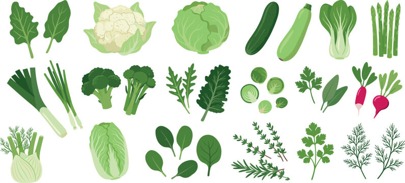 Collection of Iron Rich Green Vegetables and Organic Herbs