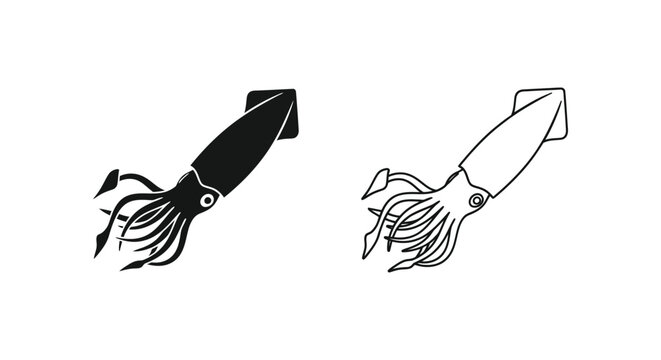 Squid Illustration: Unique Cephalopod Art Designs Vector