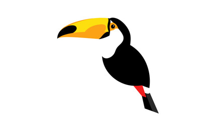 Toucan Bird With Yellow Beak. © Nb