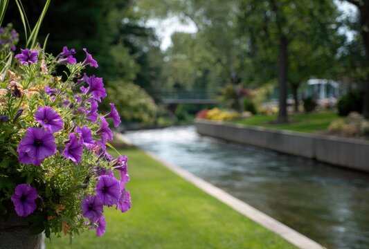Vibrant Purple Flowers Alongside a Serene Waterway