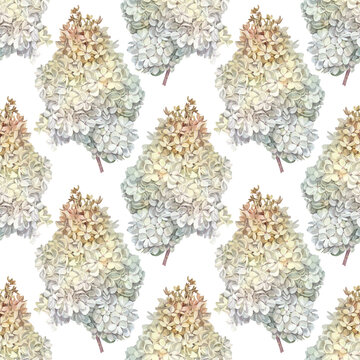 Watercolor seamless p;attern with milk hydrangea on white background. Hand-drawn botany branch with flower for Women day 8 march. Bouquet for celebration wedding. Spring summer wallpaper or wrapping