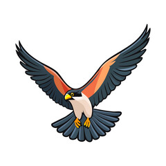 Fototapeta premium majestic falcon flying with its blue and white wings spread wide and head turned sideways looking for prey during a hunting mission