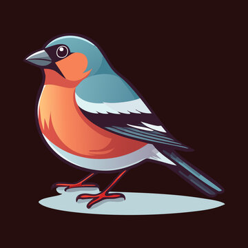 round orange and blue bird standing on its thin legs looking sideways with a curious and friendly expression in a natural setting