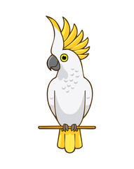 cockatoo perching on a wooden branch with its white feathers and yellow crest looking alert and peaceful in its natural environment © firstcolor