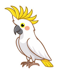 beautiful white cockatoo with a yellow crest and orange beak looking sideways with its unique feathers and tropical bird charm today © firstcolor
