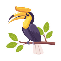 Tropical hornbill bird with white and black feathers resting on a leafy branch with a magnificent large yellow beak for nature design © firstcolor