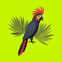 Black cockatoo bird with red crest perched on a branch with palm leaves in a vibrant and artistic tropical nature vector design © firstcolor