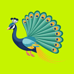 Naklejka premium Beautiful peacock with spread feathers in a vibrant and colorful display of tail plumage in a professional wildlife vector illustration design