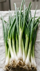 Obraz premium Fresh Green Onions with Water Droplets on Fabric Background Natural Kitchen Scene
