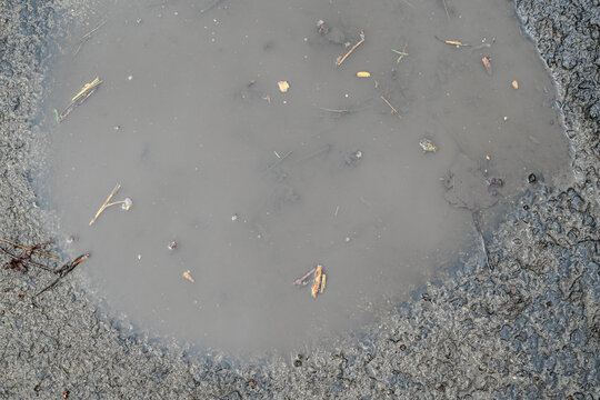 Cold Puddle by the sea