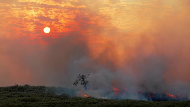 Raging wildfire burning a field at sunset