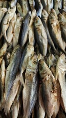 Fototapeta premium Dried salty anchovy or ikan teri asin