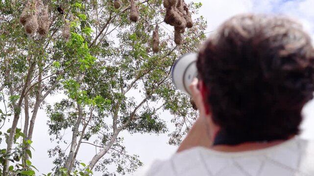 Professional photographer taking pictures of oropendola bird nests