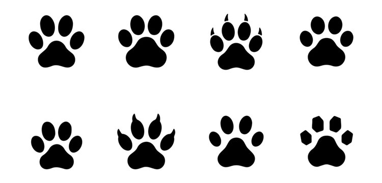 Animal paw print silhouettes, set of 8 black vector icons, dog and cat footprint stamps, wild animal track symbols for pet branding