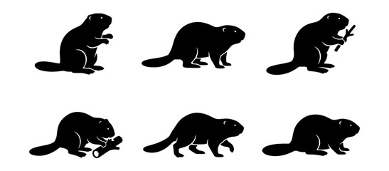 Beaver silhouette collection, set of 6 black animal vector icons, wild beaver in various poses gnawing wood and walking, forest wildlife graphics © Fatema