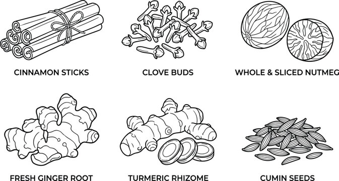 A detailed black and white illustration showcases various spices including cinnamon cloves nutmeg ginger turmeric and cumin high quality professional modern elegant stylish