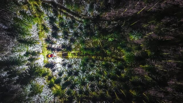 Top-down night aerial time-lapse of illuminated forestry harvester working alone among snow-dusted pine trees in dark Latvian forest, Baltic region