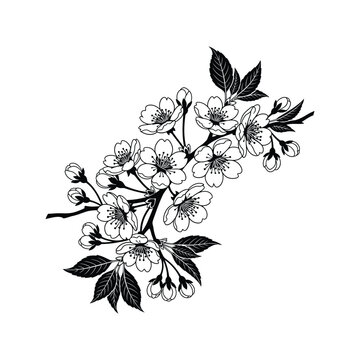 Elegant black and white illustration of a delicate cherry blossom branch, capturing the beauty of spring flowers with intricate details and a timeless monochrome aesthetic