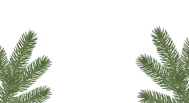 Two realistic green fir tree branches with detailed needles framing the bottom corners of the image with ample white copy space.