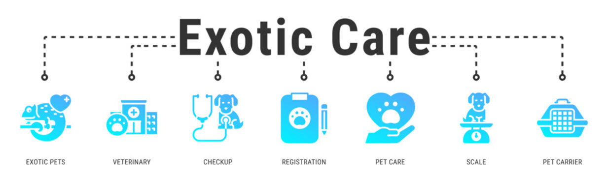 Exotic Care banner representing specialized veterinary services and proper handling for exotic animal health management