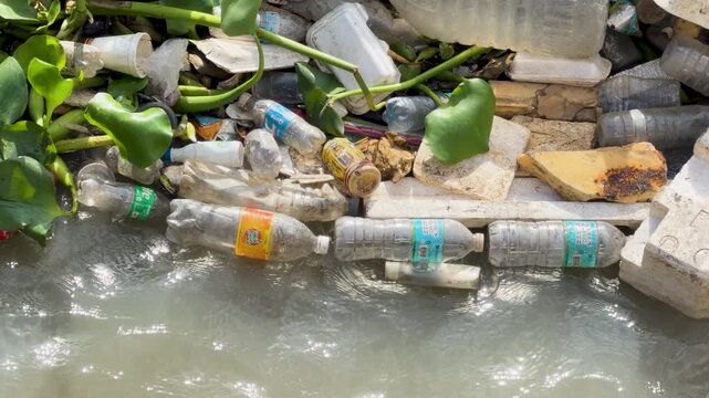 Plastic Waste and Water Hyacinth Floating in a Manila River