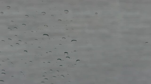 Raindrops on Window Glass with Right Copy Space, Soft Gray Wall Background