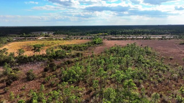 drone flying south in the John C. and Mariana Jones Hungryland Wildlife and Environmental Area in Palm Beach and Martin County Florida showing the vast expanse of the area.
