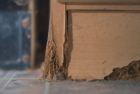 Close-Up of Water Damaged Cabinet Base with Swollen Particleboard | Moisture Destruction and Home Renovation Concept
