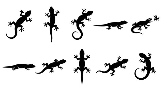 10 Gecko Silhouette Vector Pack &ndash; Minimalist Lizard SVG Collection