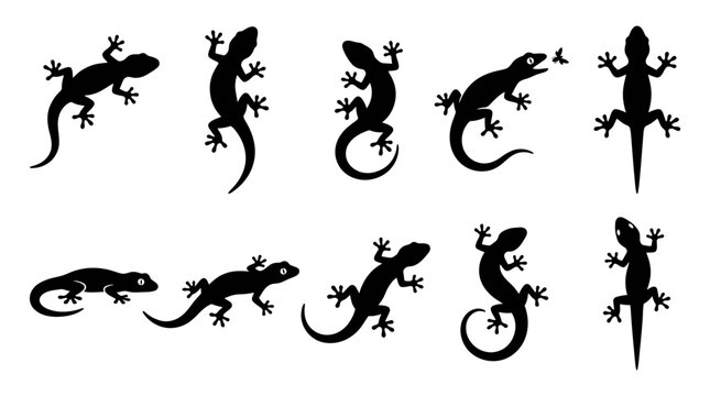 10 Gecko Silhouette Vector Pack &ndash; Minimalist Lizard SVG Collection