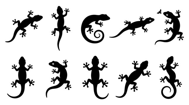 10 Gecko Silhouette Vector Pack &ndash; Minimalist Lizard SVG Collection