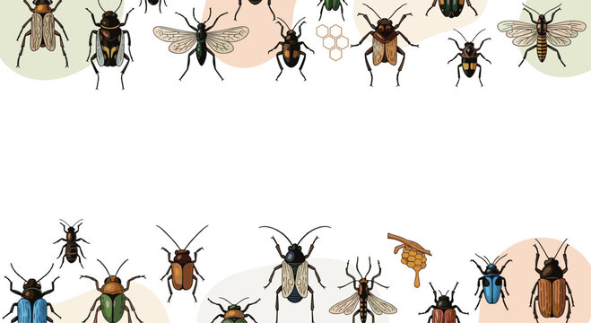 Colorful insects and beetles border with flies, bees, and wasps for entomology research, nature education, and biological science illustrations.