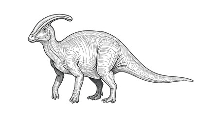 Fototapeta premium Detailed black and white engraving style illustration of a Parasaurolophus dinosaur isolated on a white background.