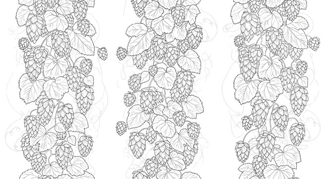 Elegant vertical seamless pattern of hop vines with detailed leaves and cones in a black and white line art style.