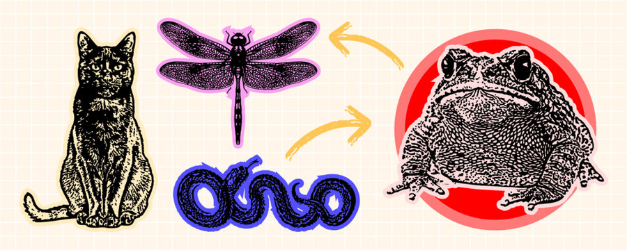 Set of vintage style animal stickers featuring a cat, a dragonfly, a snake, and a toad, artistic handdrawn illustration style