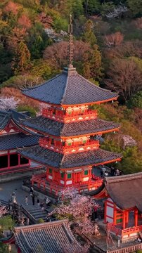 Iconic kiyomizu dera pagoda at sunset with cherry blossoms in kyoto japan historical temple complex.