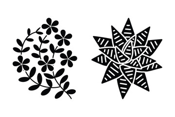 Obraz premium Small flowers sprig and succulent plant botanical black silhouette illustrations